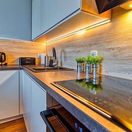 Apartament Pod Stogiem Izerskim - 5D Apartamenty Świeradów-Zdrój المظهر الخارجي الصورة